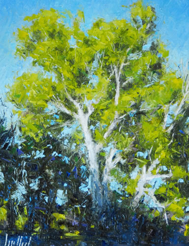 Sycamores Near the Crossing; Oil Painting by Lynn Heil of Rowe Gallery